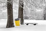Canalside Snowscape_33868